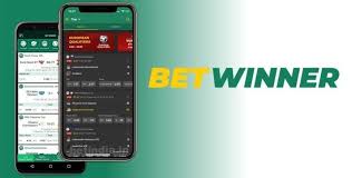 Baji Live casino BD - The Ultimate Online Gaming Experience