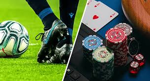 Descubra o Mundo de Apostas com 6655bet 0